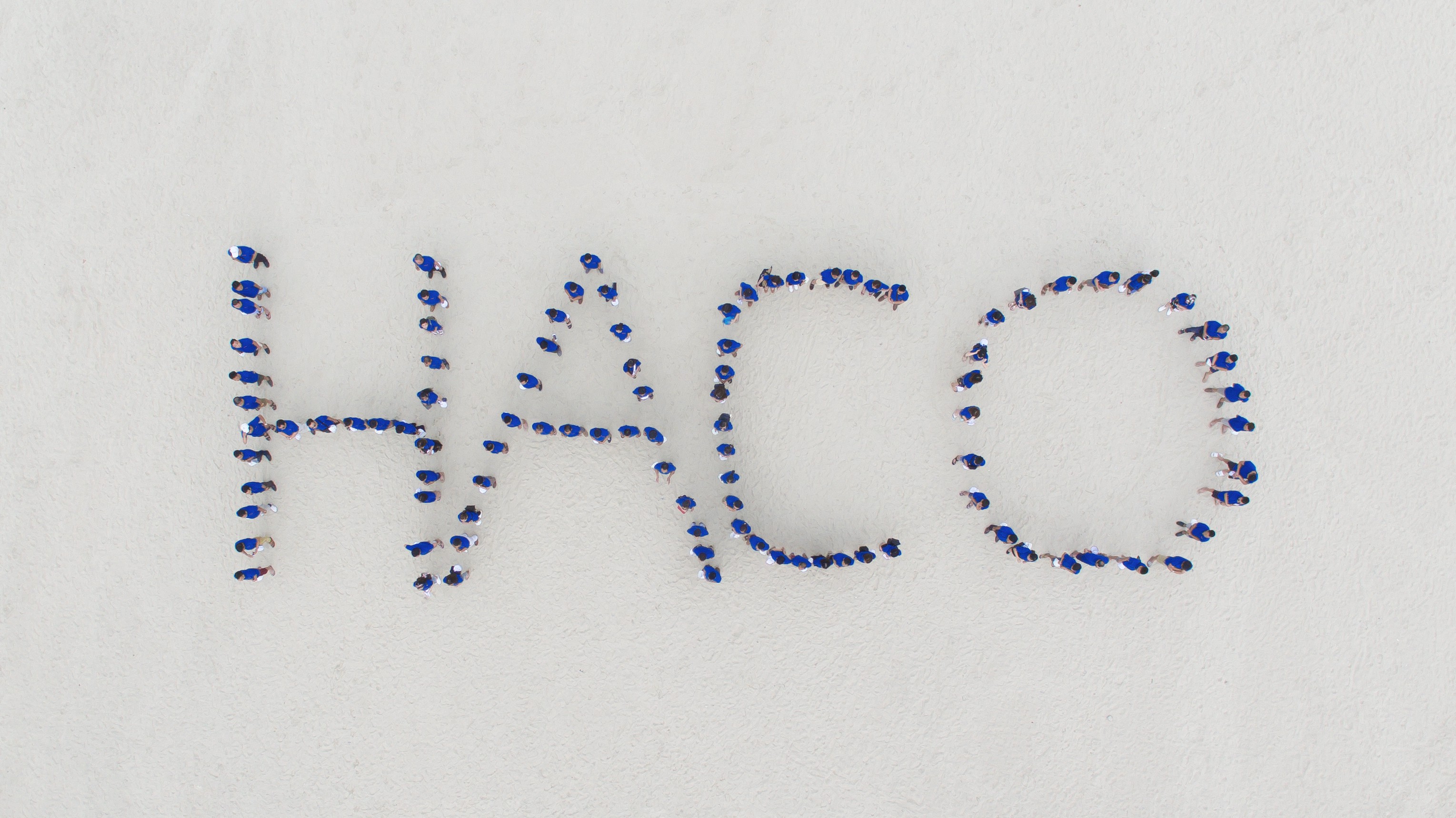 Hoạt động năm 2015